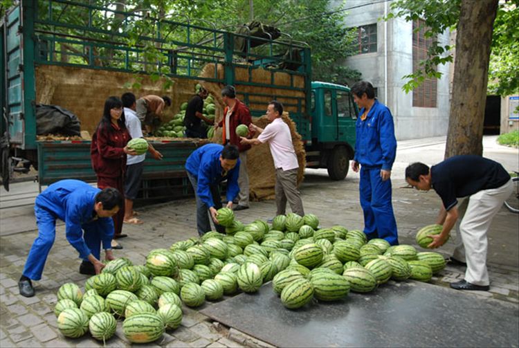 进入盛夏以来，气温持续高达30℃以上，西北铝广大职工冒酷暑，战高温，坚守在本职岗位上。在分公司领导的亲切关怀下，分公司工会积极开展“炎夏送清凉”活动，于7月25日下午购买了11000多斤西瓜，分别送往挤压厂、压延厂、动力厂、机修厂、技术质量中心、铝箔项目组和粉材工区等11个单位的生产和工作现场，在炎热的夏季为生产一线和辅助单位的职工送去了一丝“清凉”，也送去了分公司领导对职工的关怀之情。