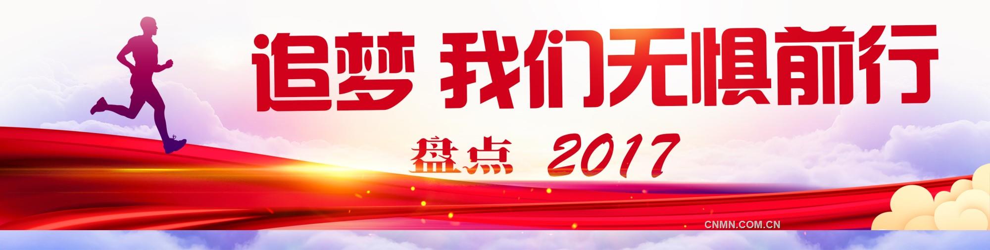 盘点2017_副本